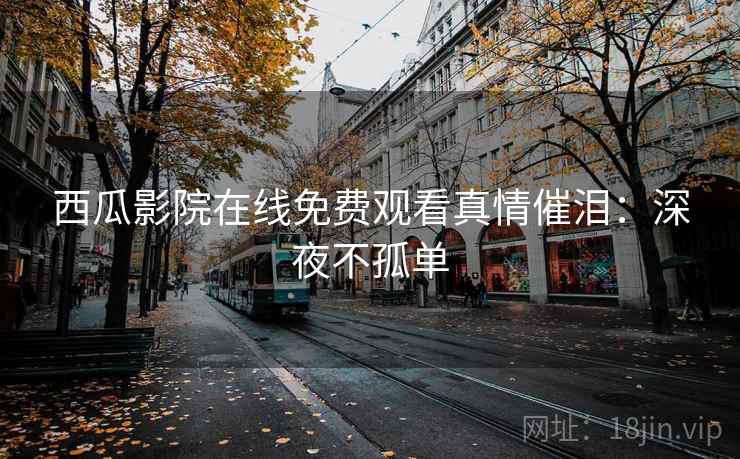 西瓜影院在线免费观看真情催泪:深夜不孤单 西瓜影院在线免费观看真情催泪:深夜不孤单